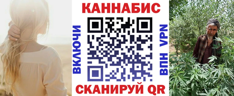 Марихуана сатива  дарнет шоп  Отрадное 